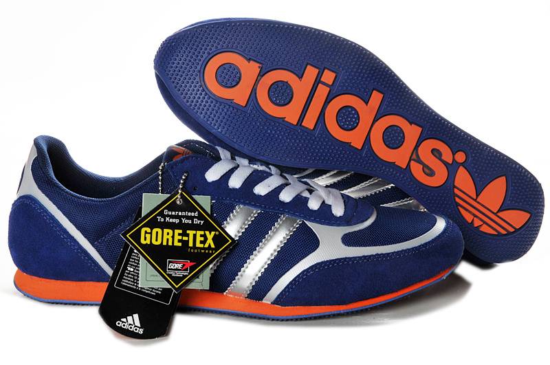 Adidas Trail Shoe