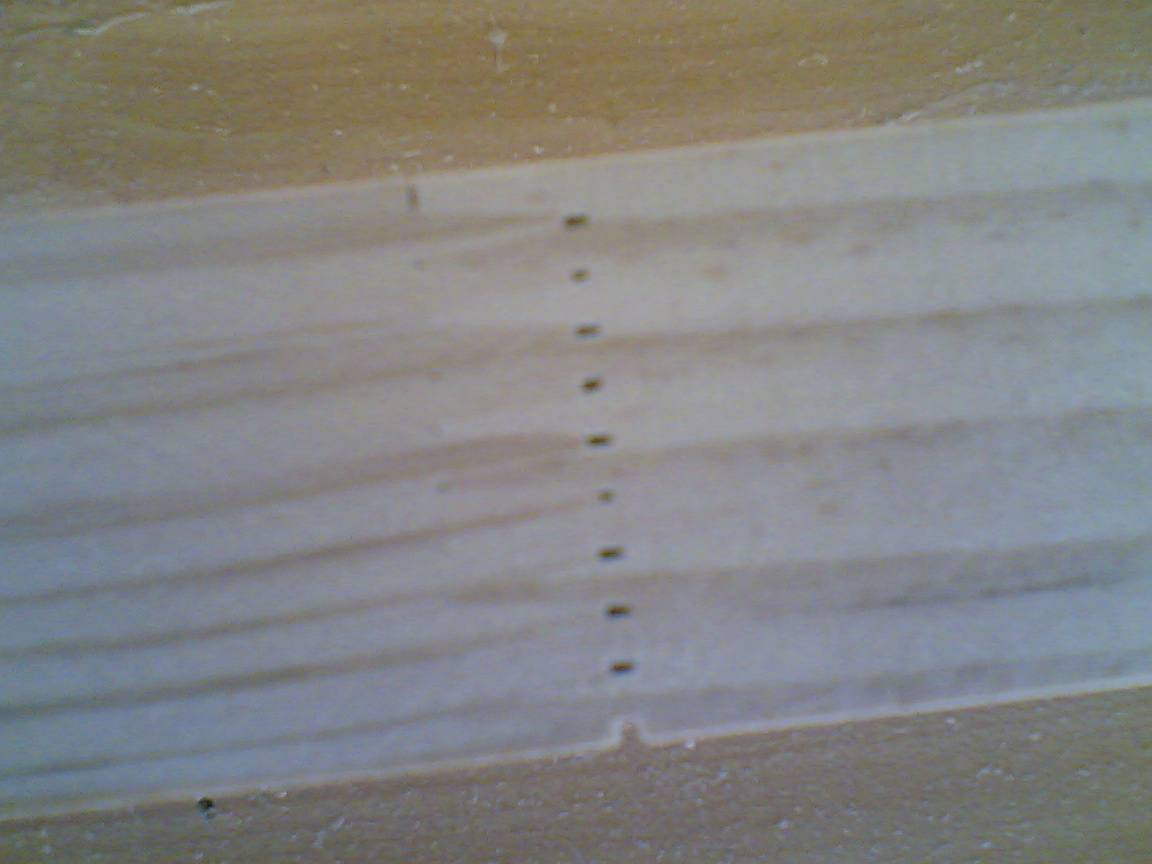 finger joint board and pine wood-plywood
